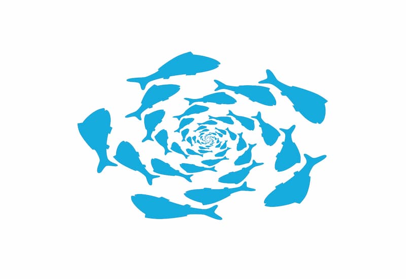 Google search goldfish myth teaser