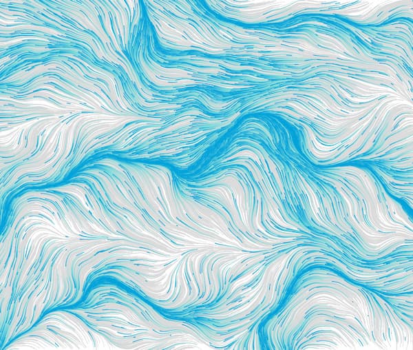 WordPress 6 P5.js integration